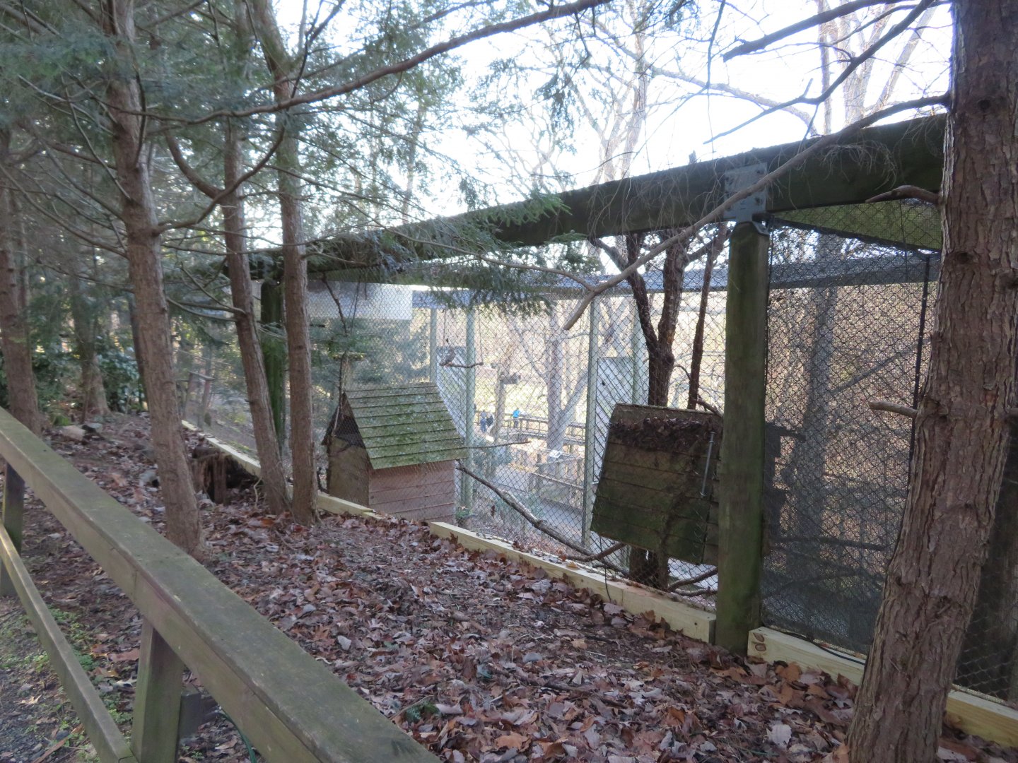 Back of Raptor Aviaires