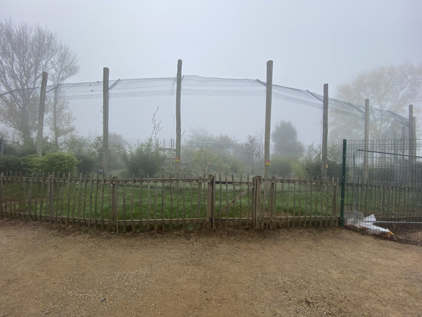 Back of Sumatran tiger enclosure