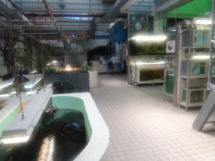 Back of the aquarium