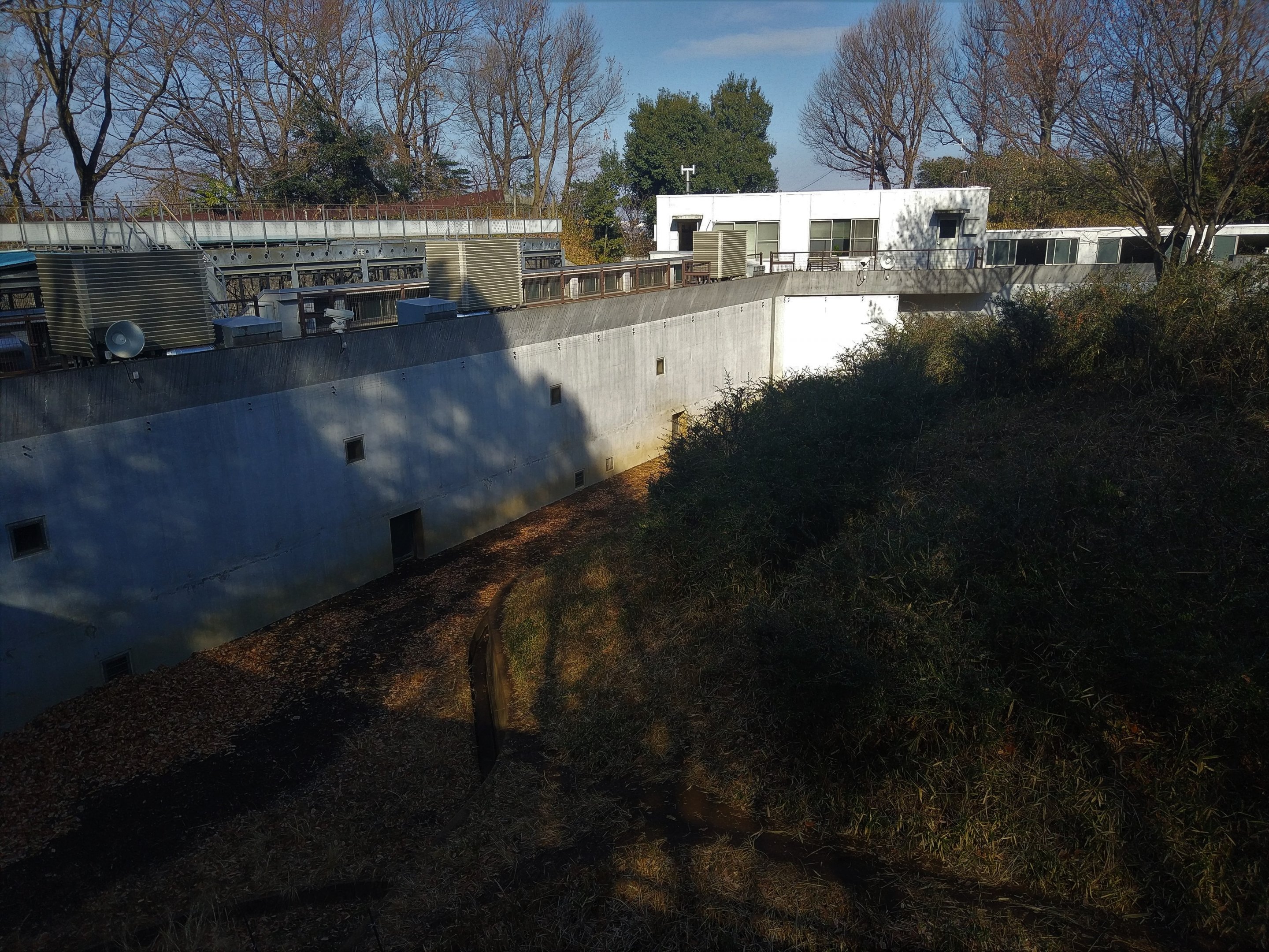 Back of the Chimpanzee Exhibit