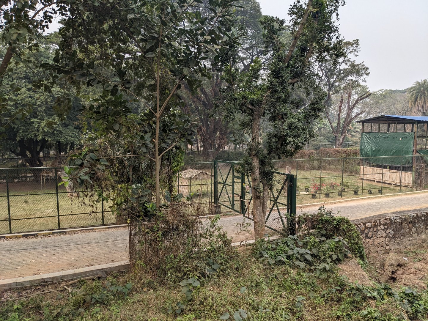 Back of the girafe complex of exhibits