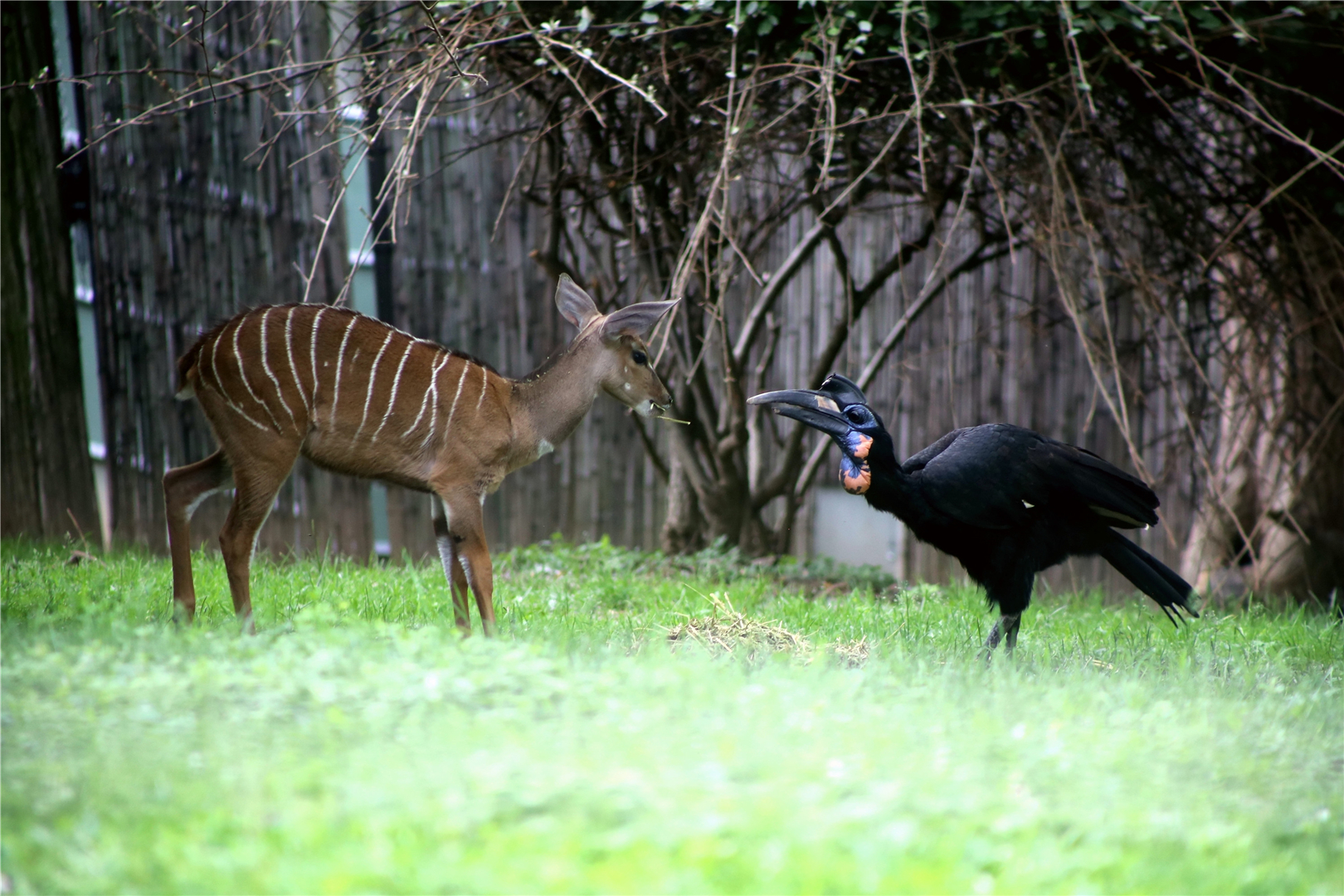 Back off, young man!