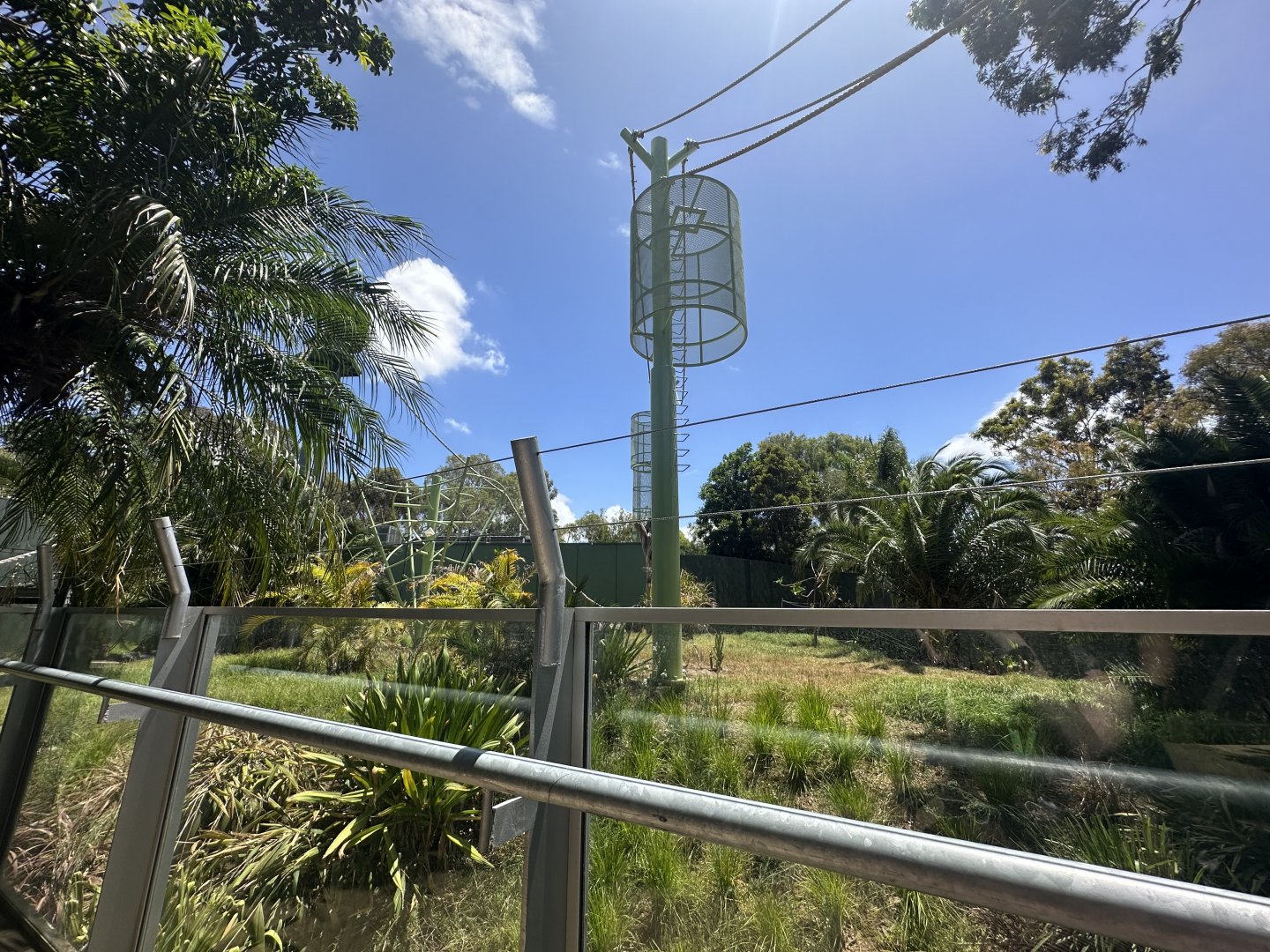 Back Orangutang exhibit
