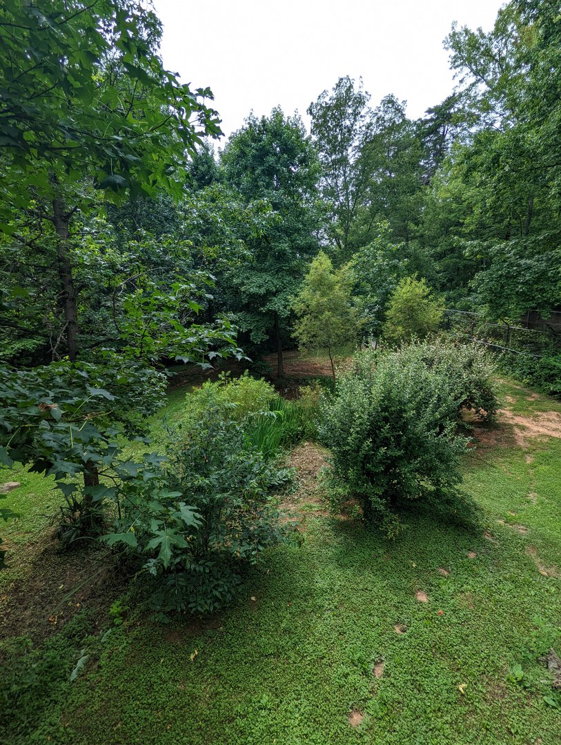Back part of the Maned Wolf exhibit