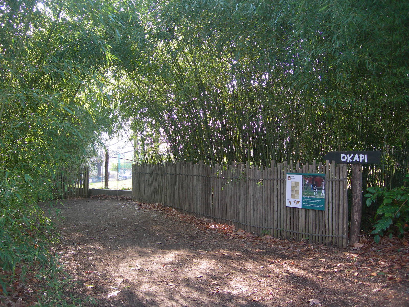 Back Part of the Okapi exhibit