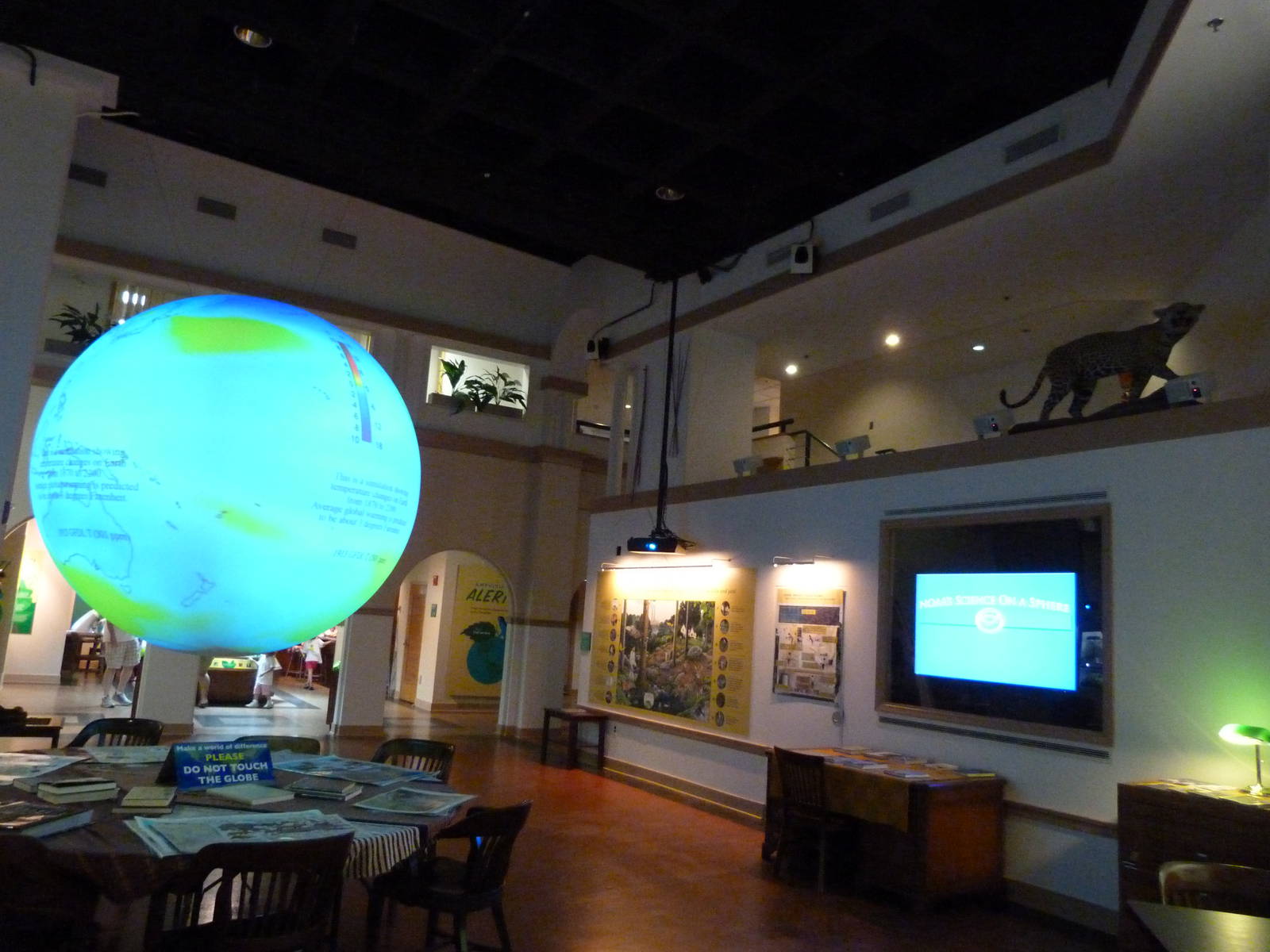 Back Section of Amazonia