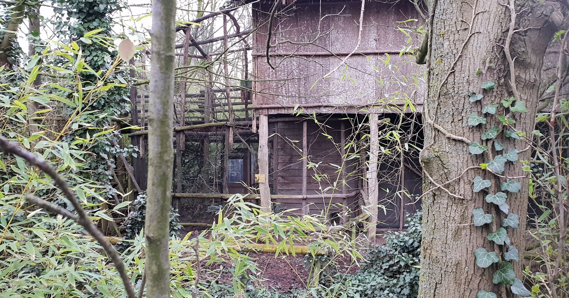 Back-side Indonesian long-house