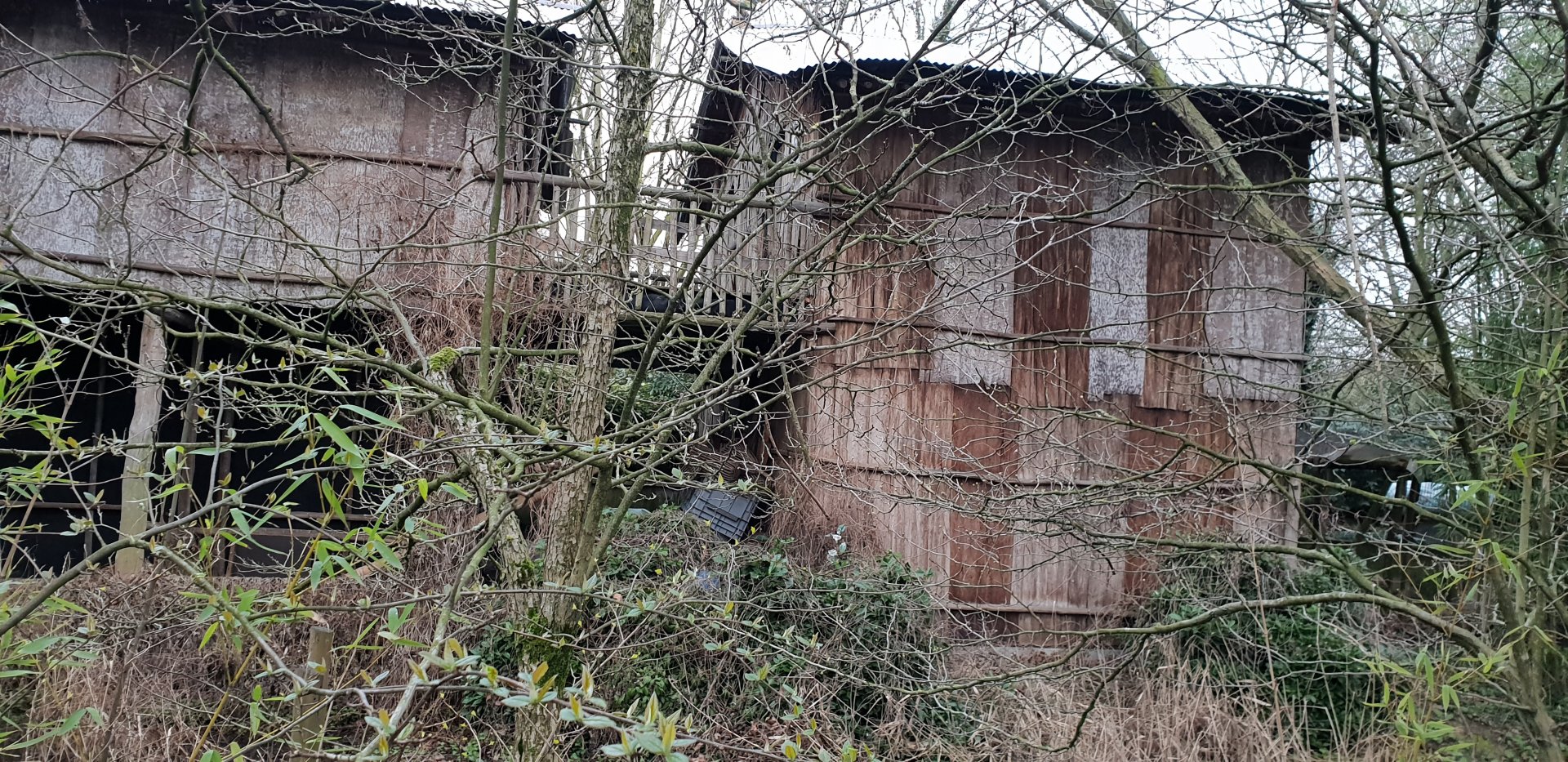 Back-side Indonesian long-house