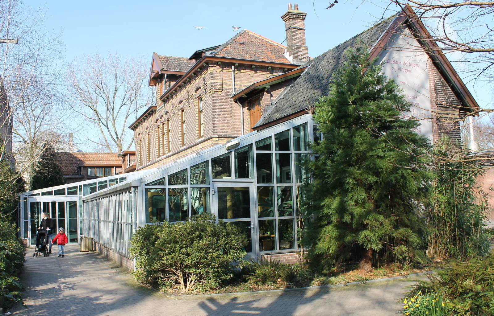 Back-side Insect-house