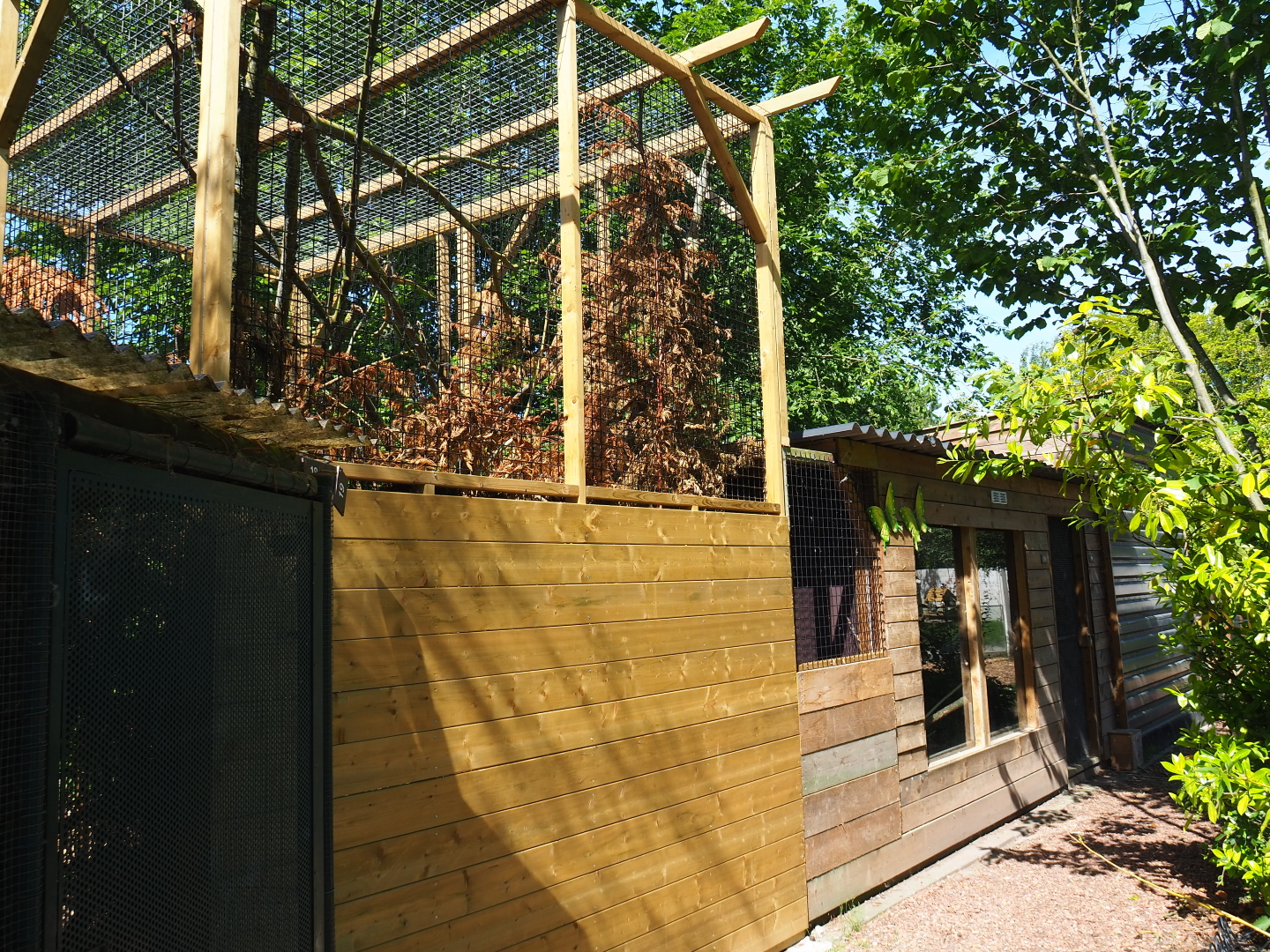 Back side of the Desmarest's hutia exhibit, 2019-06-01