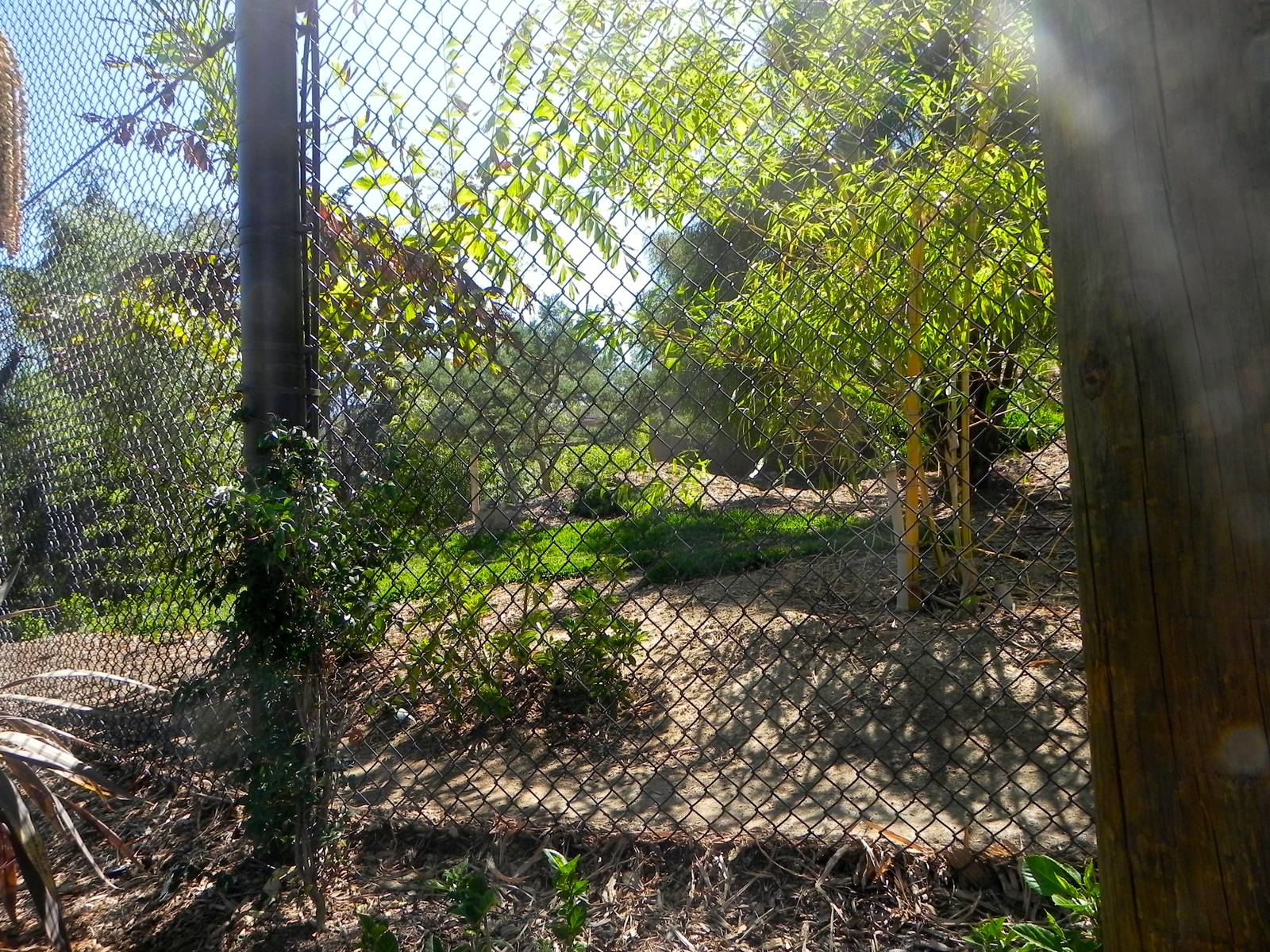 Back side of yard 3 Tiger Trail