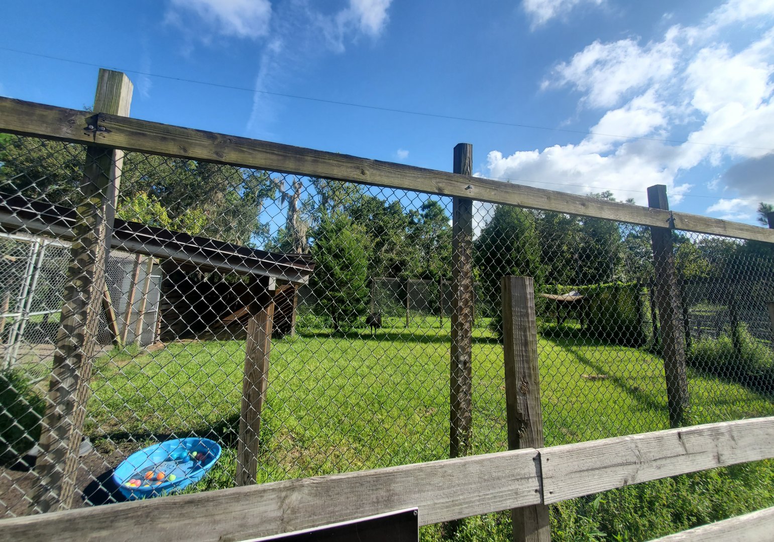 Back To Nature Wildlife Refuge - Emu pen