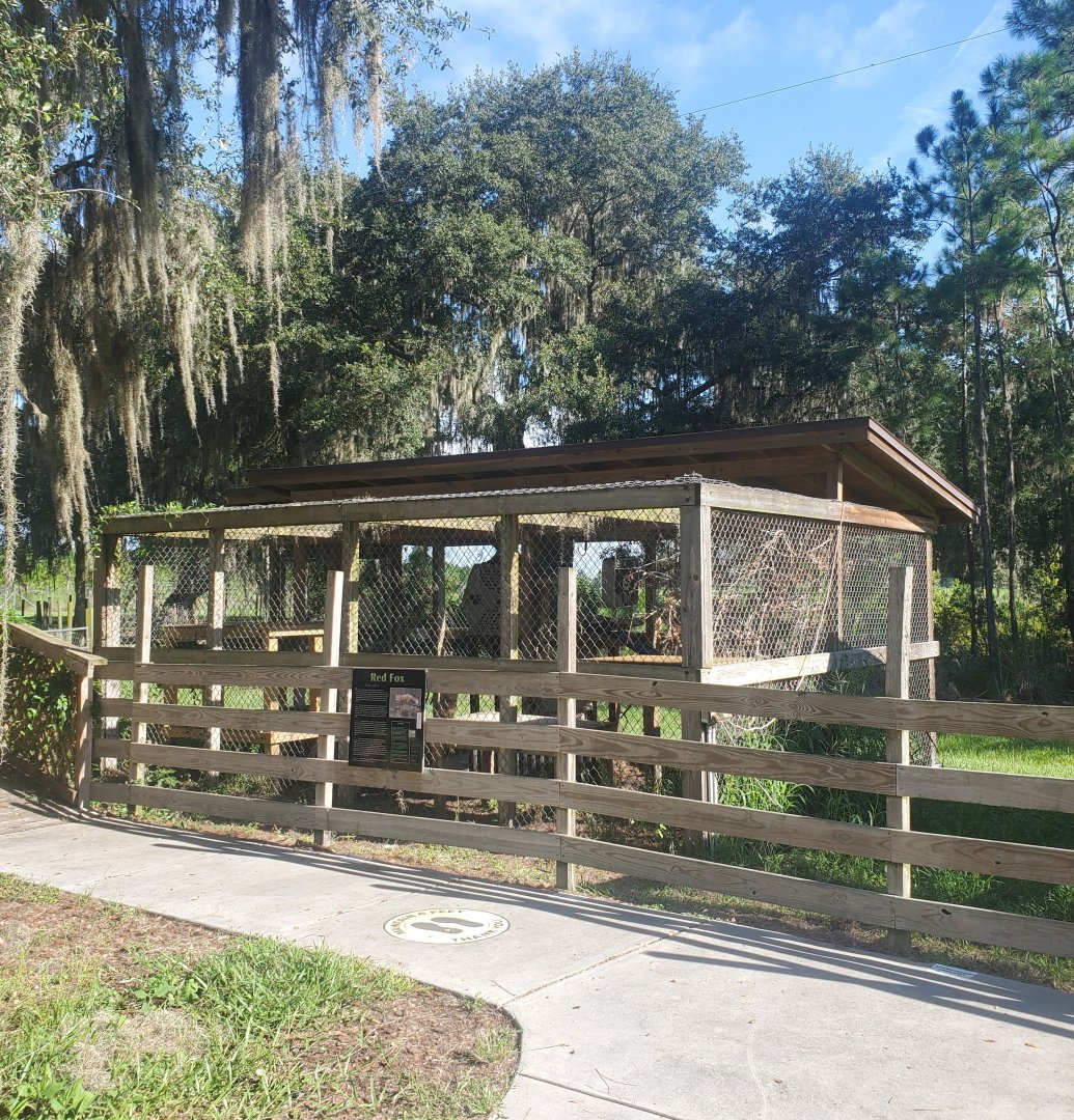 Back To Nature Wildlife Refuge - Red Fox enclosure