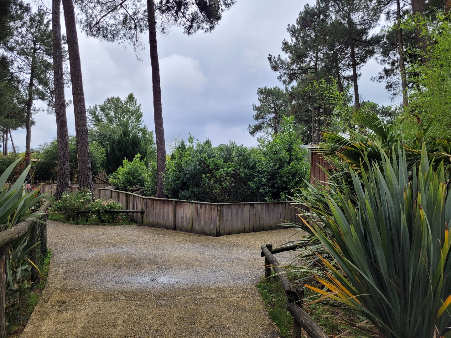 Back to the main zoo -Zoo du bassin d'Arcachon (2024)