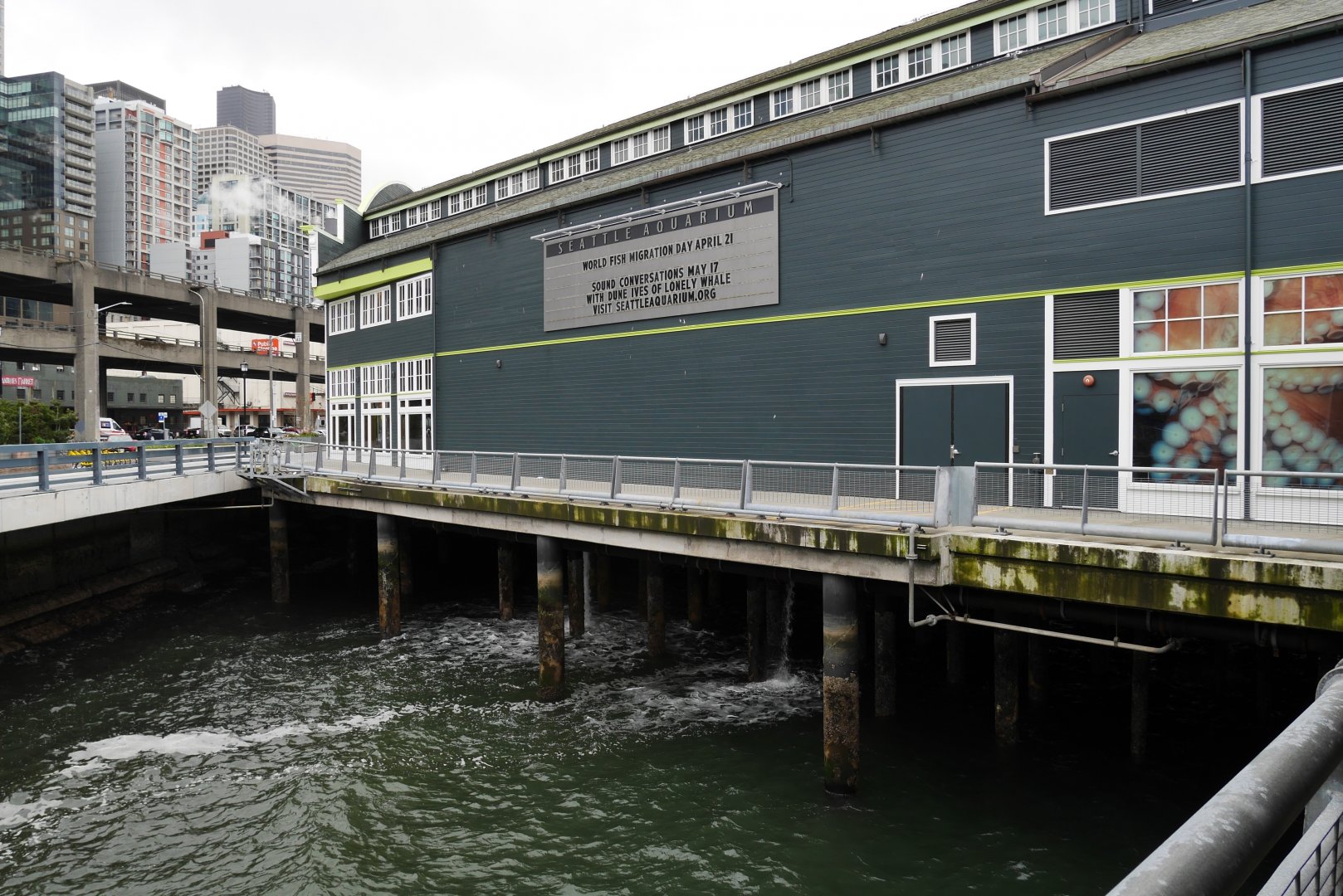 Back to the Ocean - My First US Zoo Trip