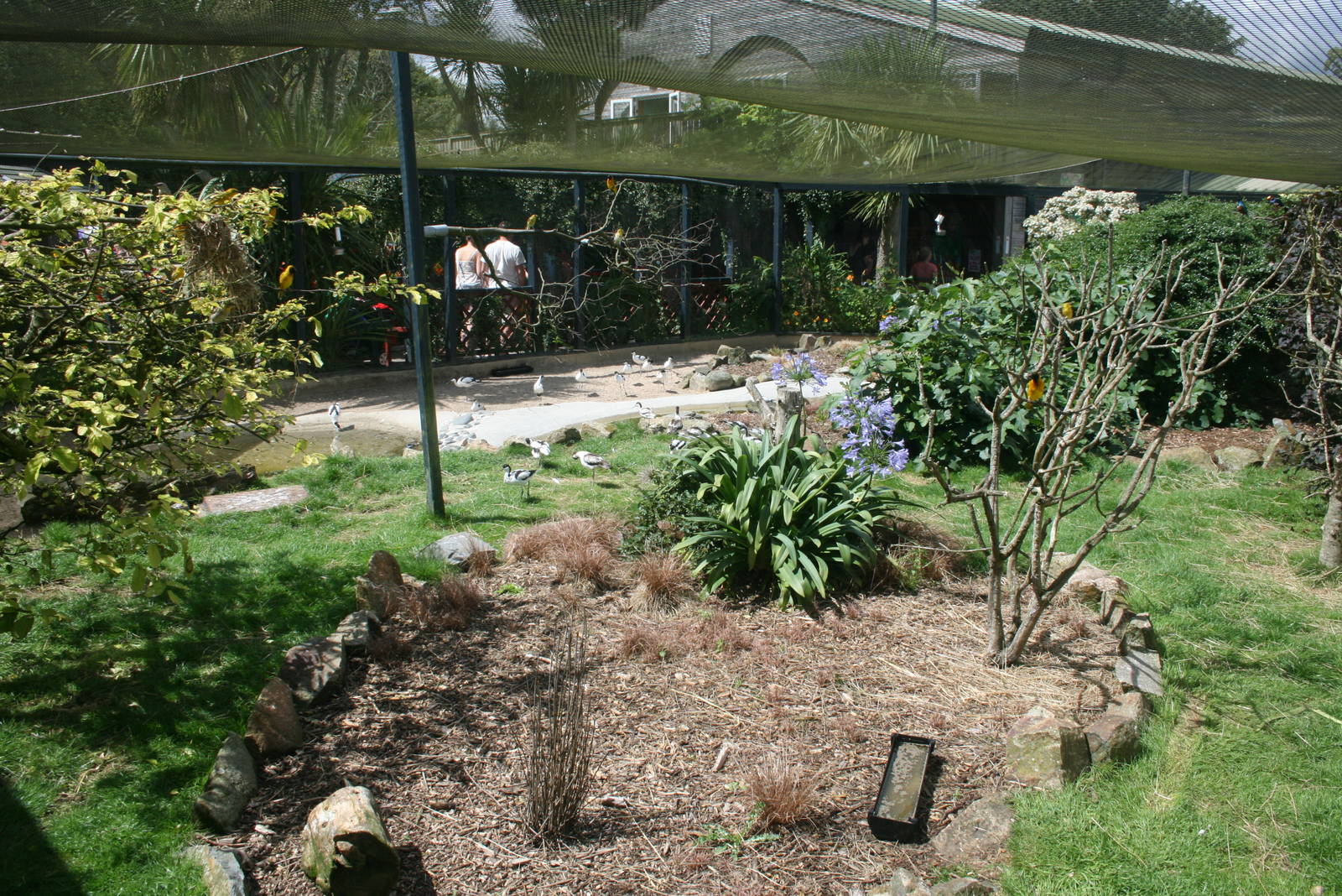 Back View Of Entrance Aviary
