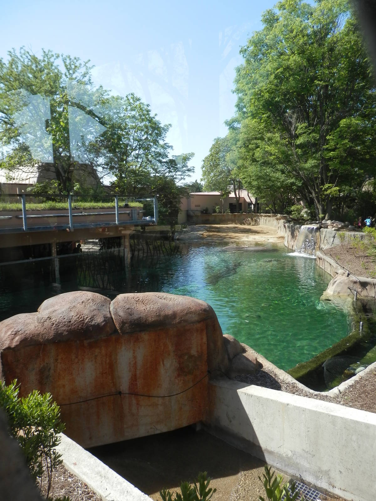 back view of hippoquarium