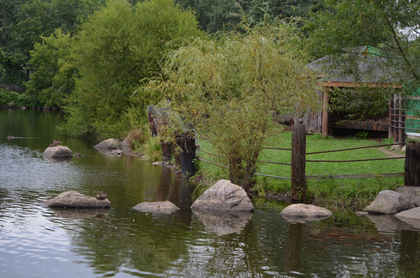 Backend of the Emu Habitat