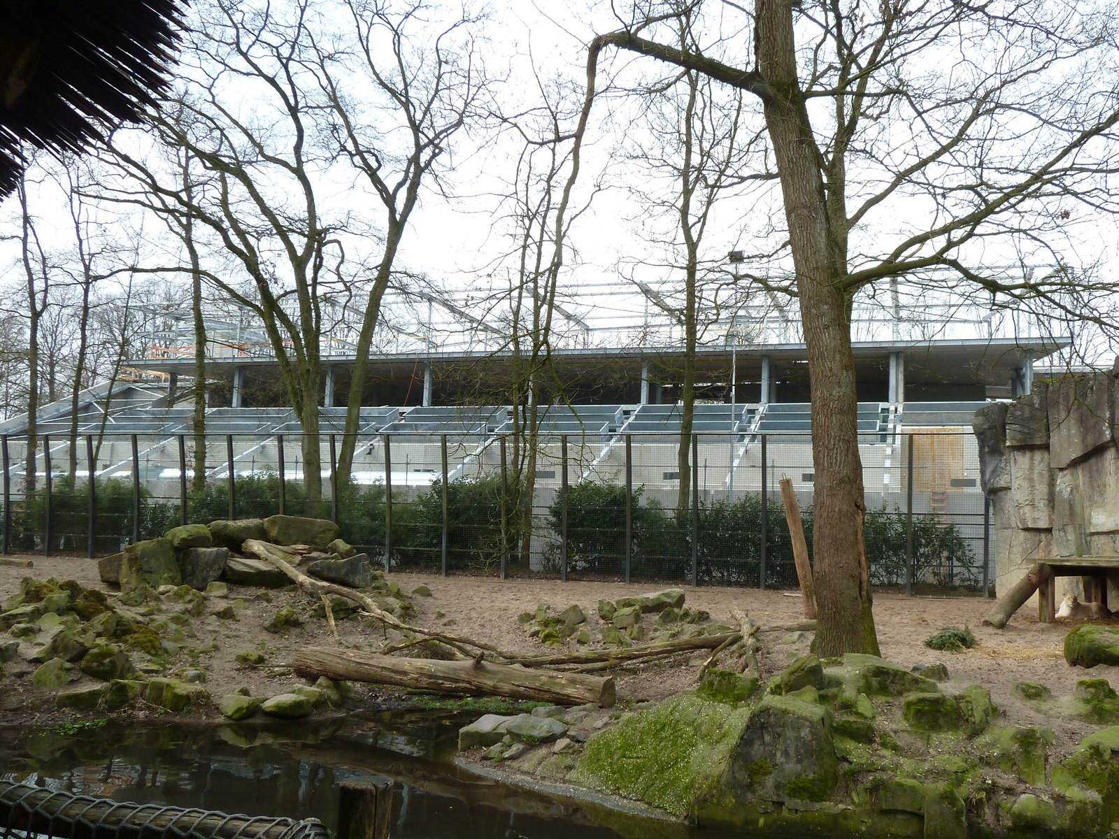 Backside construction of gorilla exhibit