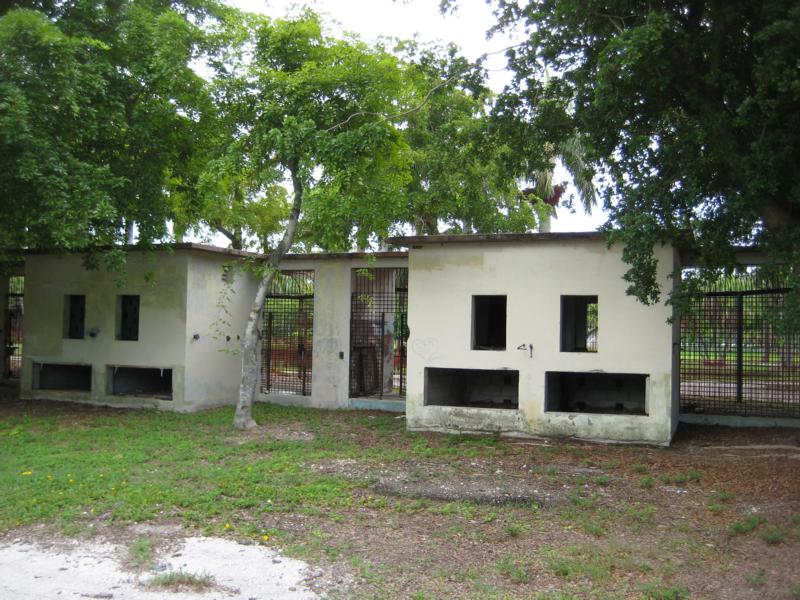 Backside of Big Cat cages