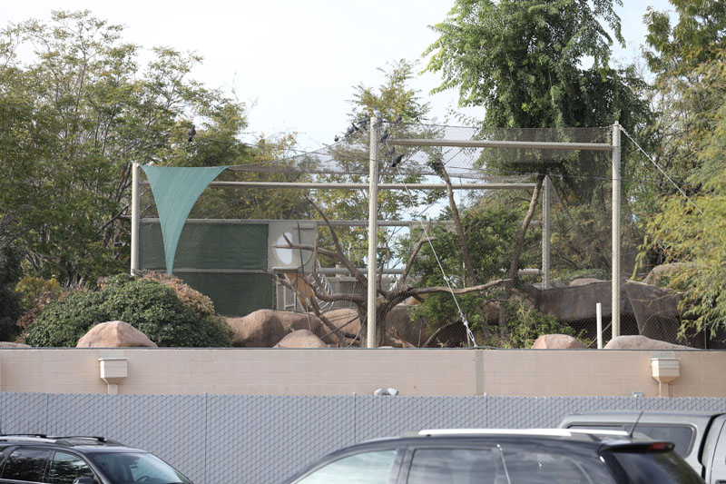 backside of primate exhibit