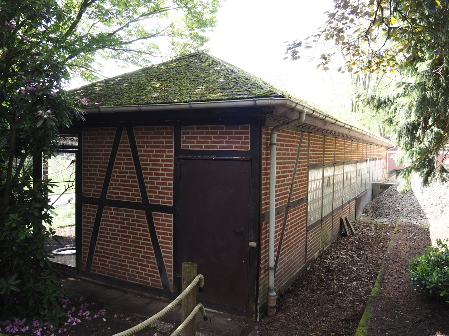 Backside of the bird house for one of the parrot aviary blocks, seen from the access to the 'Blick hinter den Kulissen' area, 2024-05-23