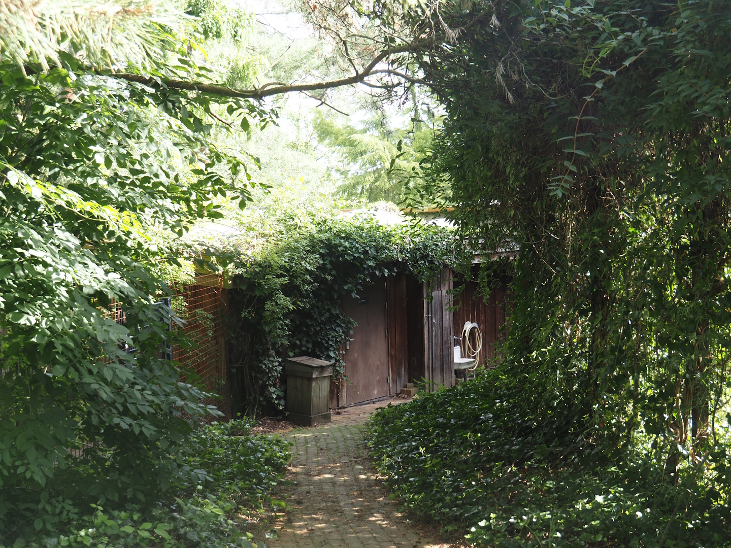 Backside of the bush dog house, 2024-08-21