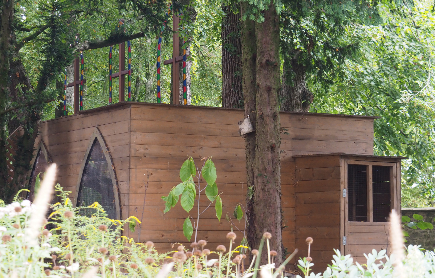 Backside of the common barn owl aviary, 2020-09-02