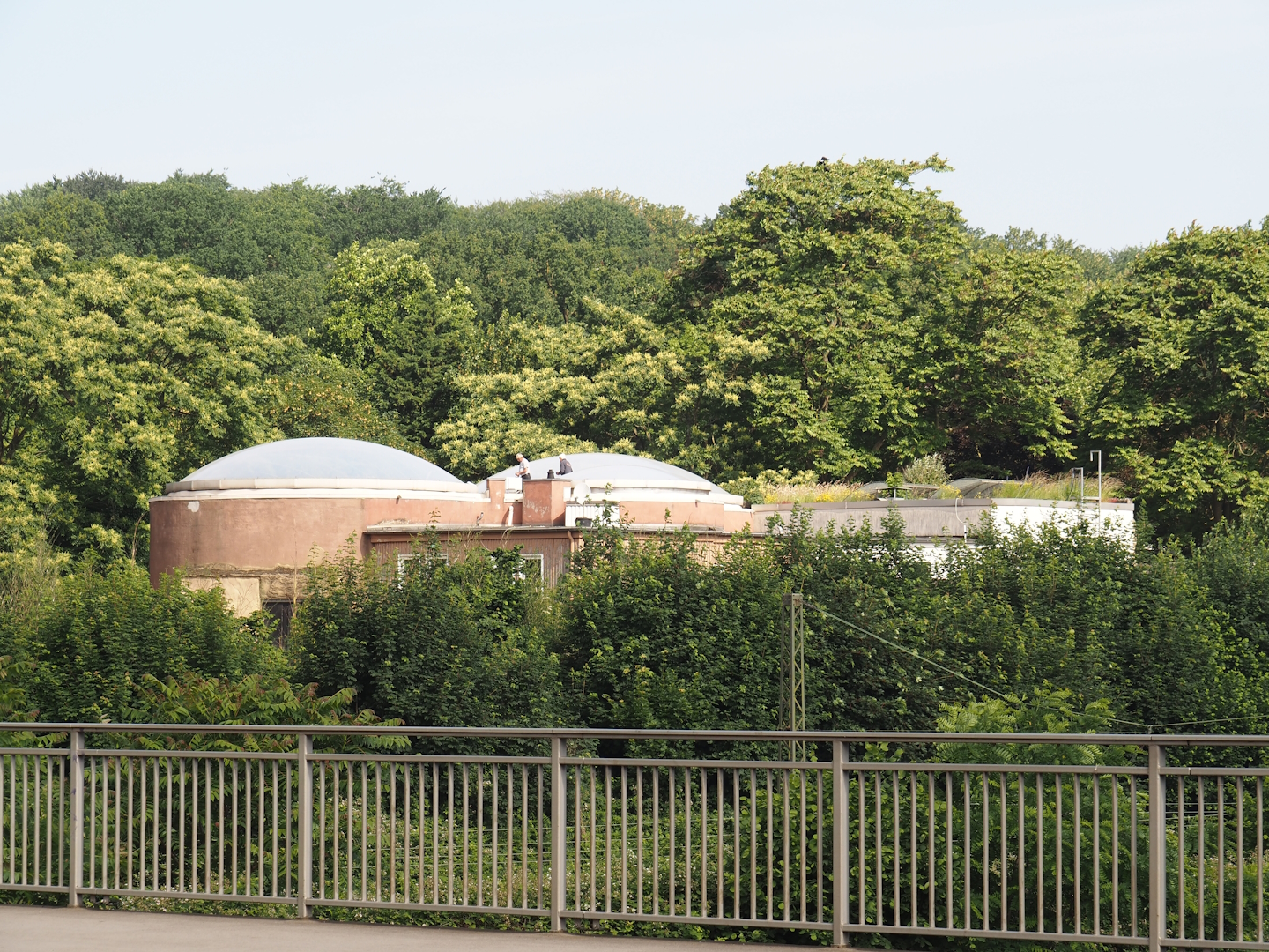 Backside of the elephant building, seen from the Mülheimer Straße, 2024-06-08