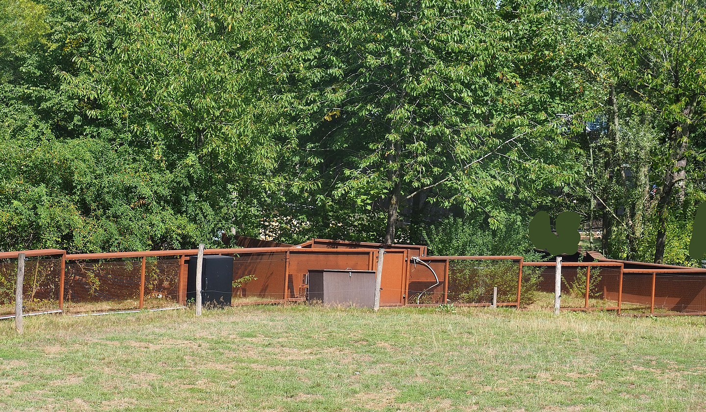 Backside of the European mink exhibits, 2022-08-20