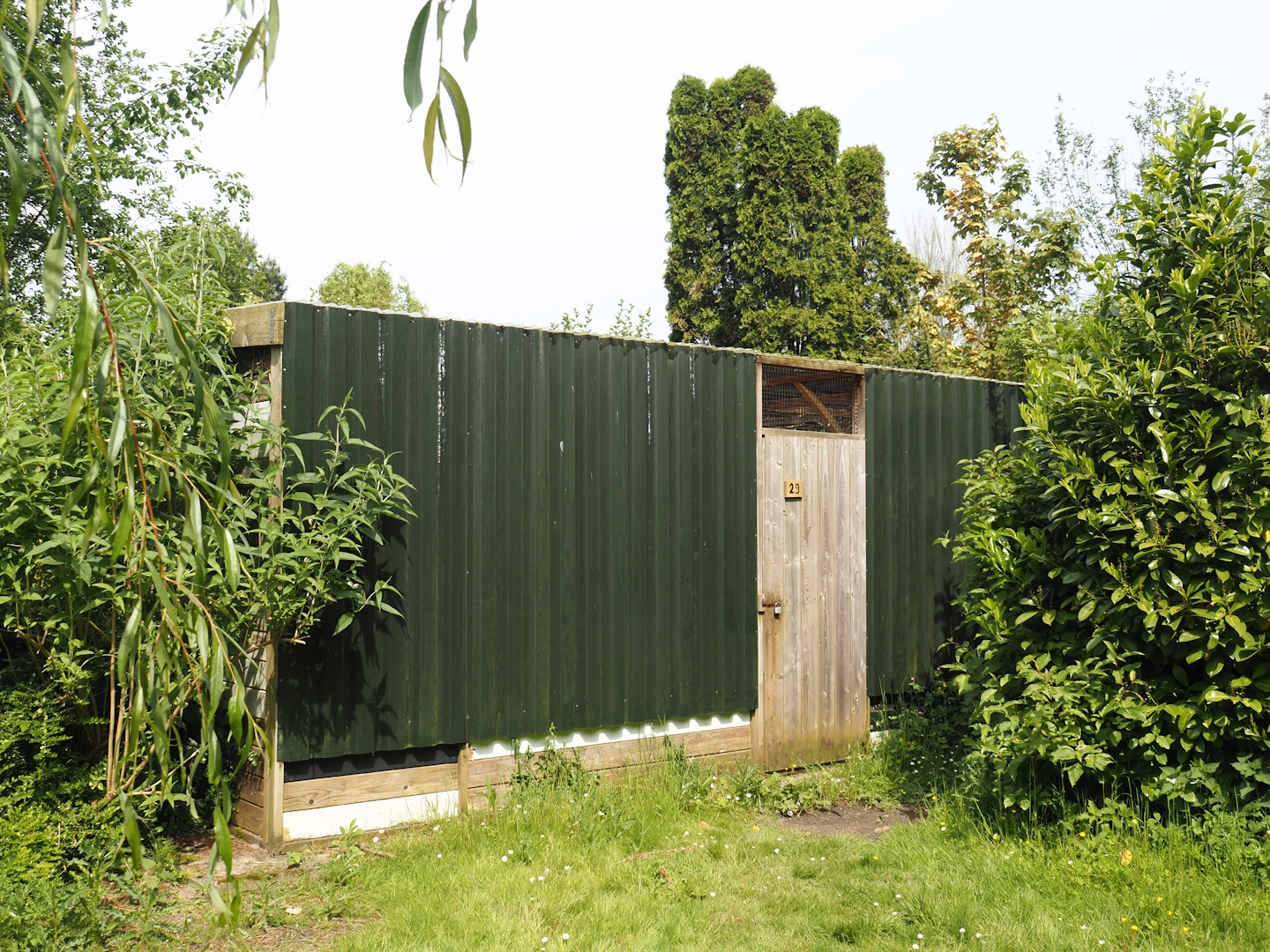 Backside of the Siberian weasel exhibits, 2024-05-11