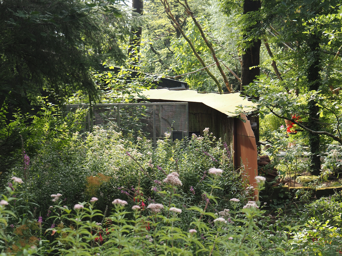 Backside of the Silvery marmoset, Golden-headed lion tamarin, White-faced saki, Coppery titi and Red-footed tortoise house, 2024-08-18