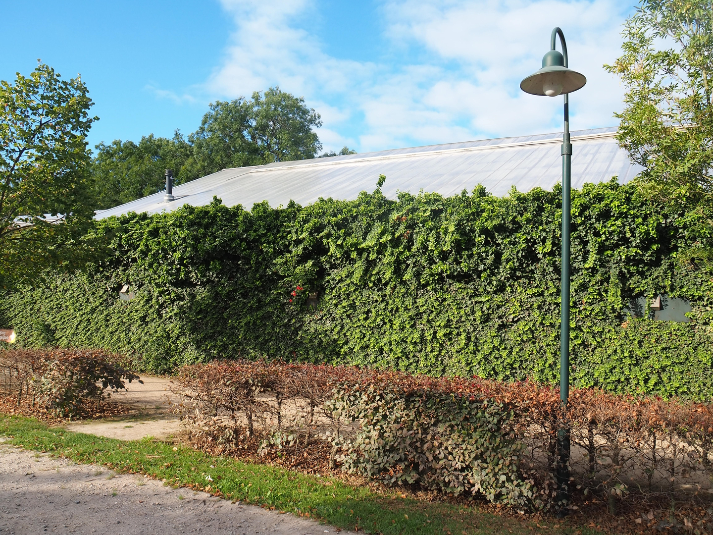 Backside of the tropical hall next to the parking lot, 2022-08-28