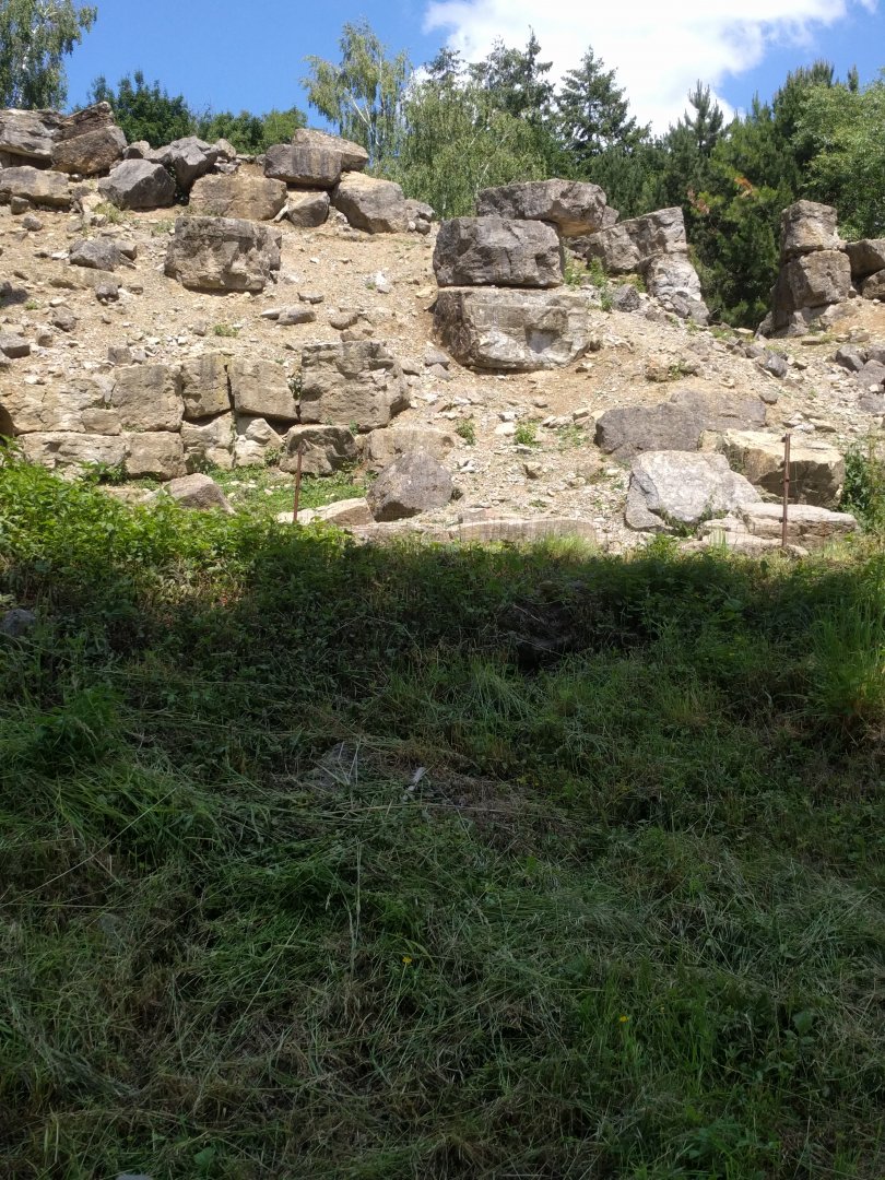 Backside View of Alpine ibex Enclosure