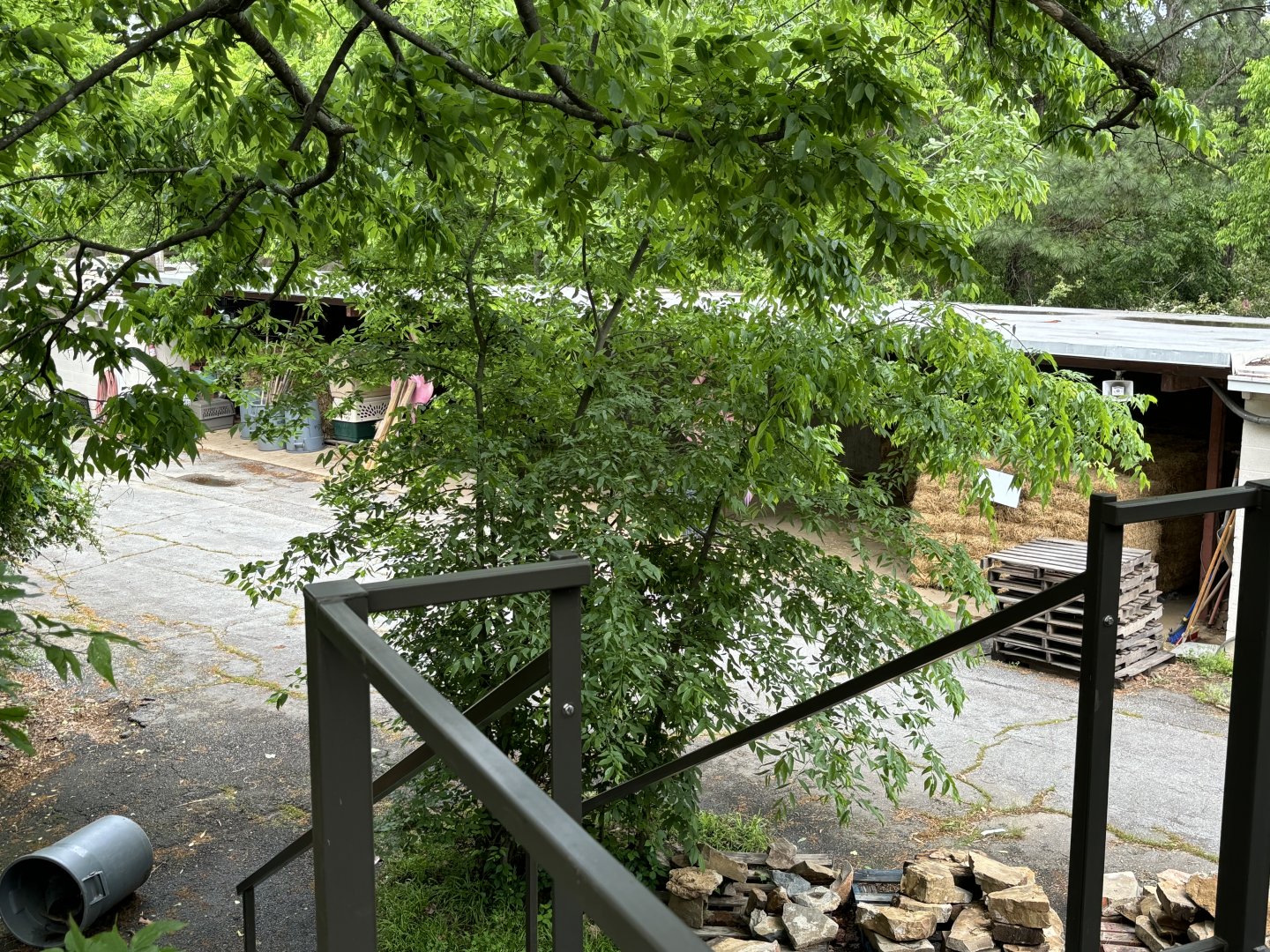 Backstage Area Near Hoofstock Area