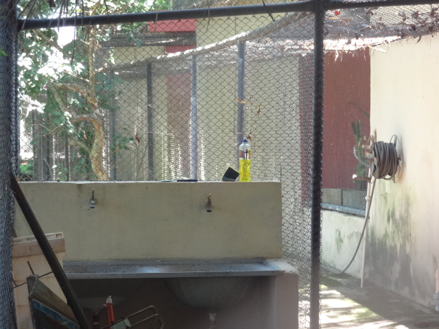 Backstage area of a small complex of tropical birds exhibits on the zoo's entrance - Belo Horizonte zoo