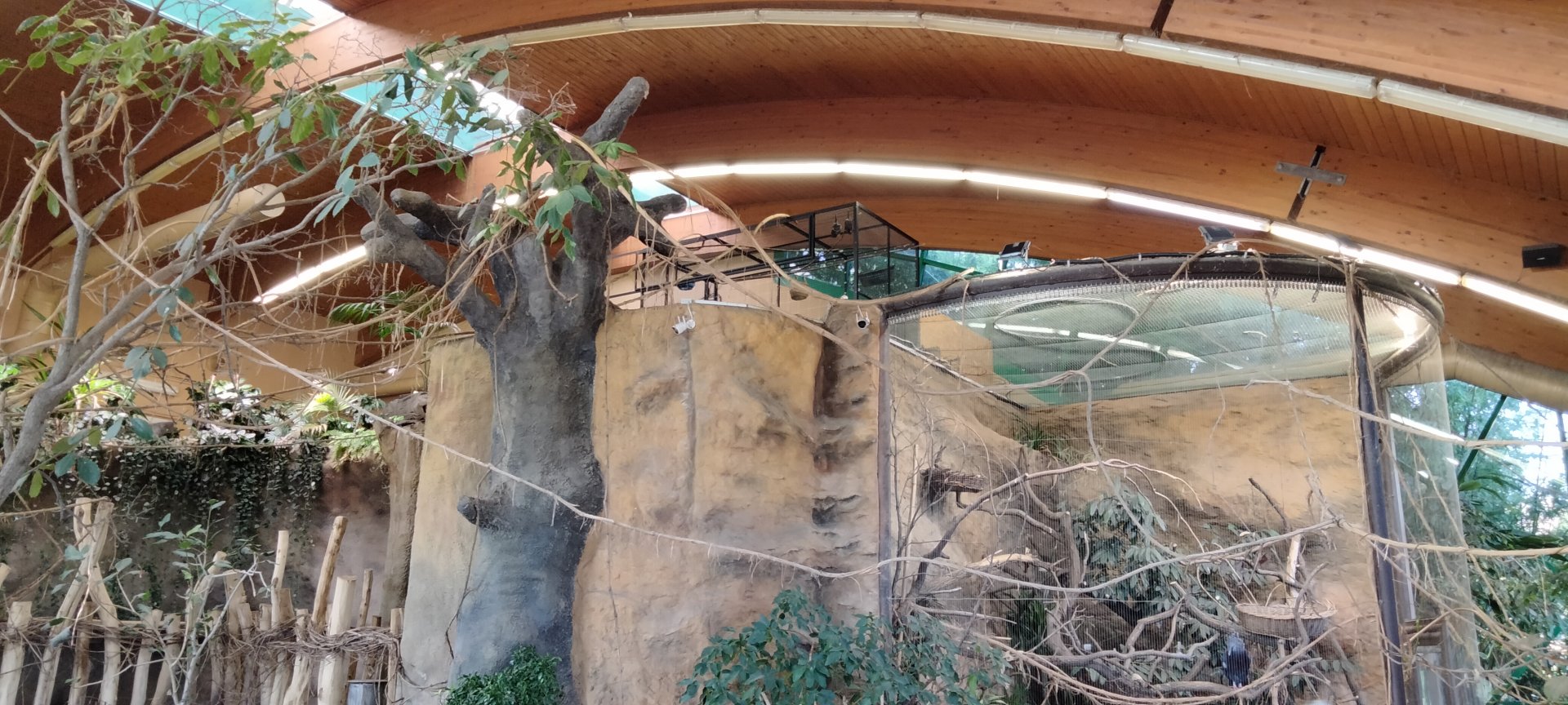 Backstage Fruit bats in the Asia House (former Elephant House)