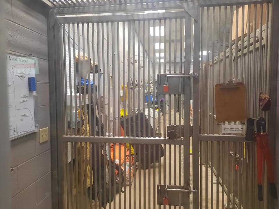 Backstage Komodo Dragon Holding