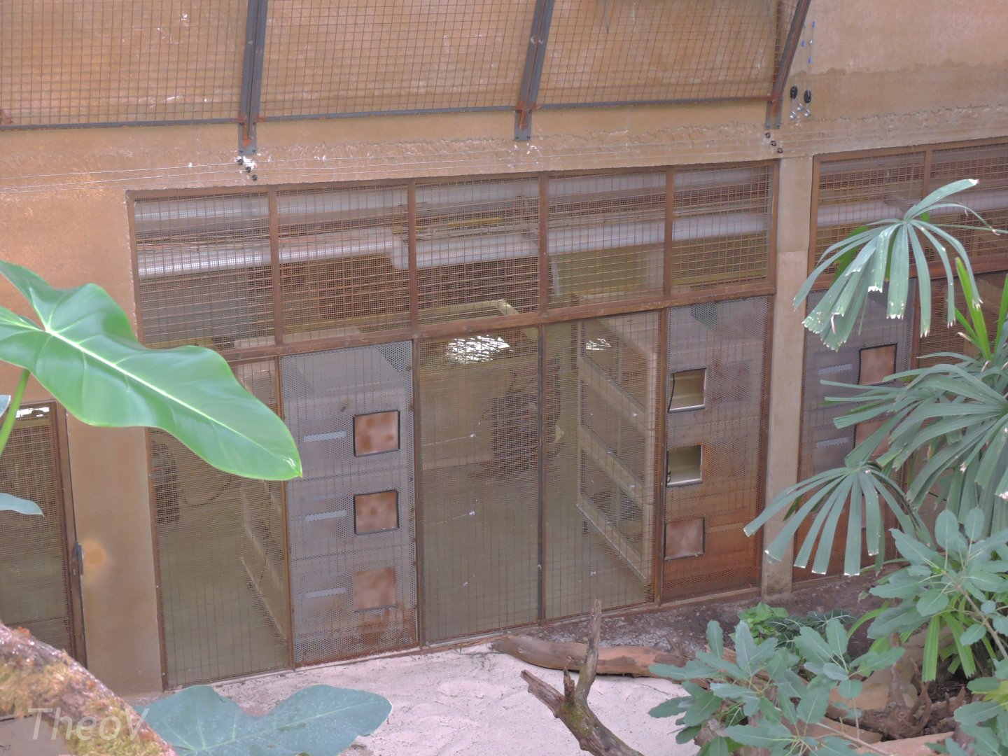 Backstage - Python Island [2016]