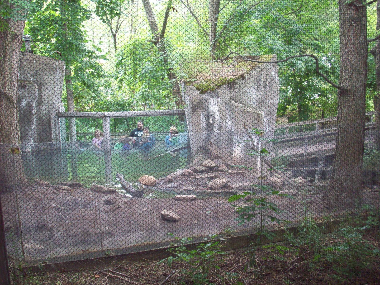 Backview of Otter Exhibit