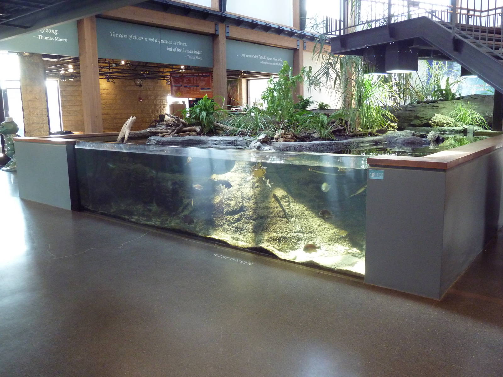 Backwater Marsh Exhibit