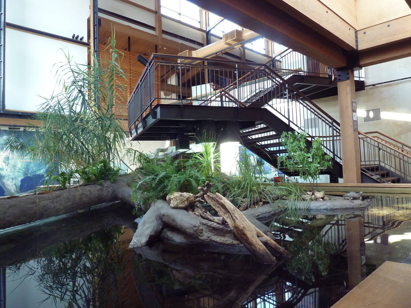 Backwater Marsh Exhibit