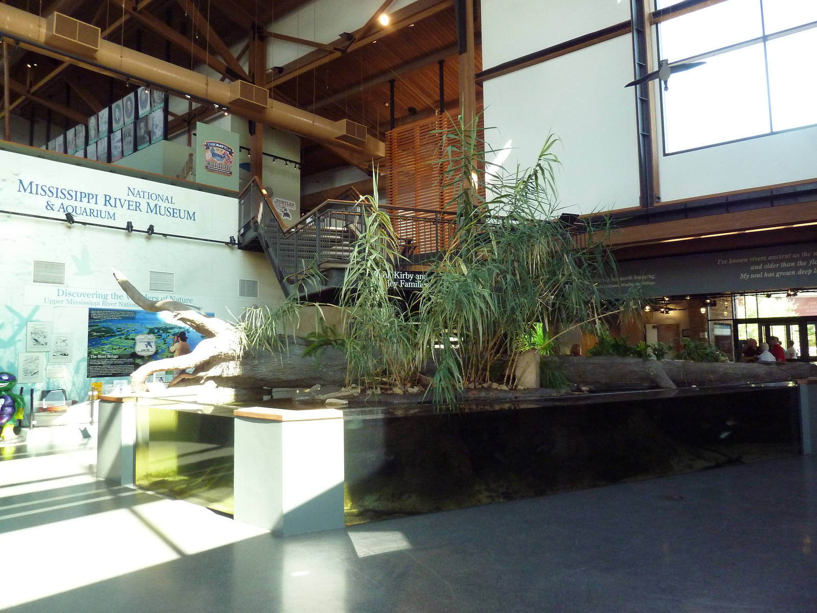 Backwater Marsh Exhibit