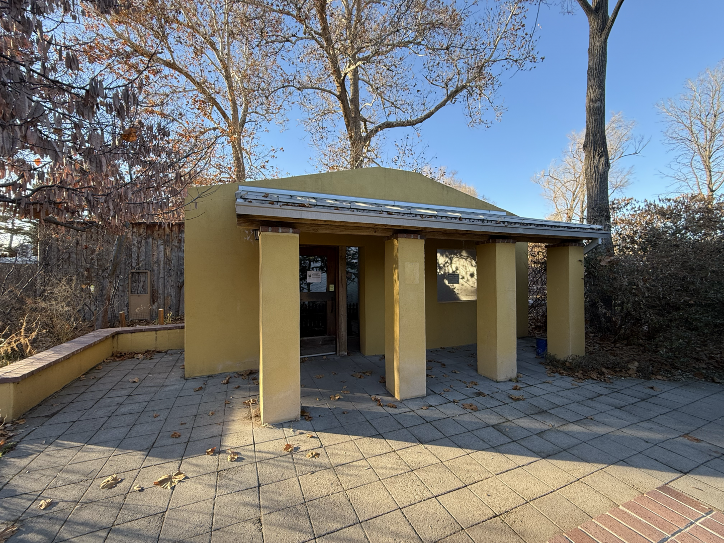 Backyard Birds - Destination Argentina