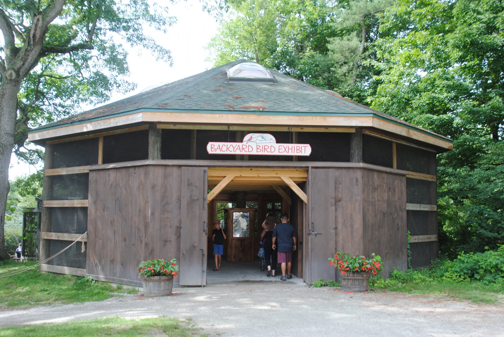 Backyard Birds exhibit