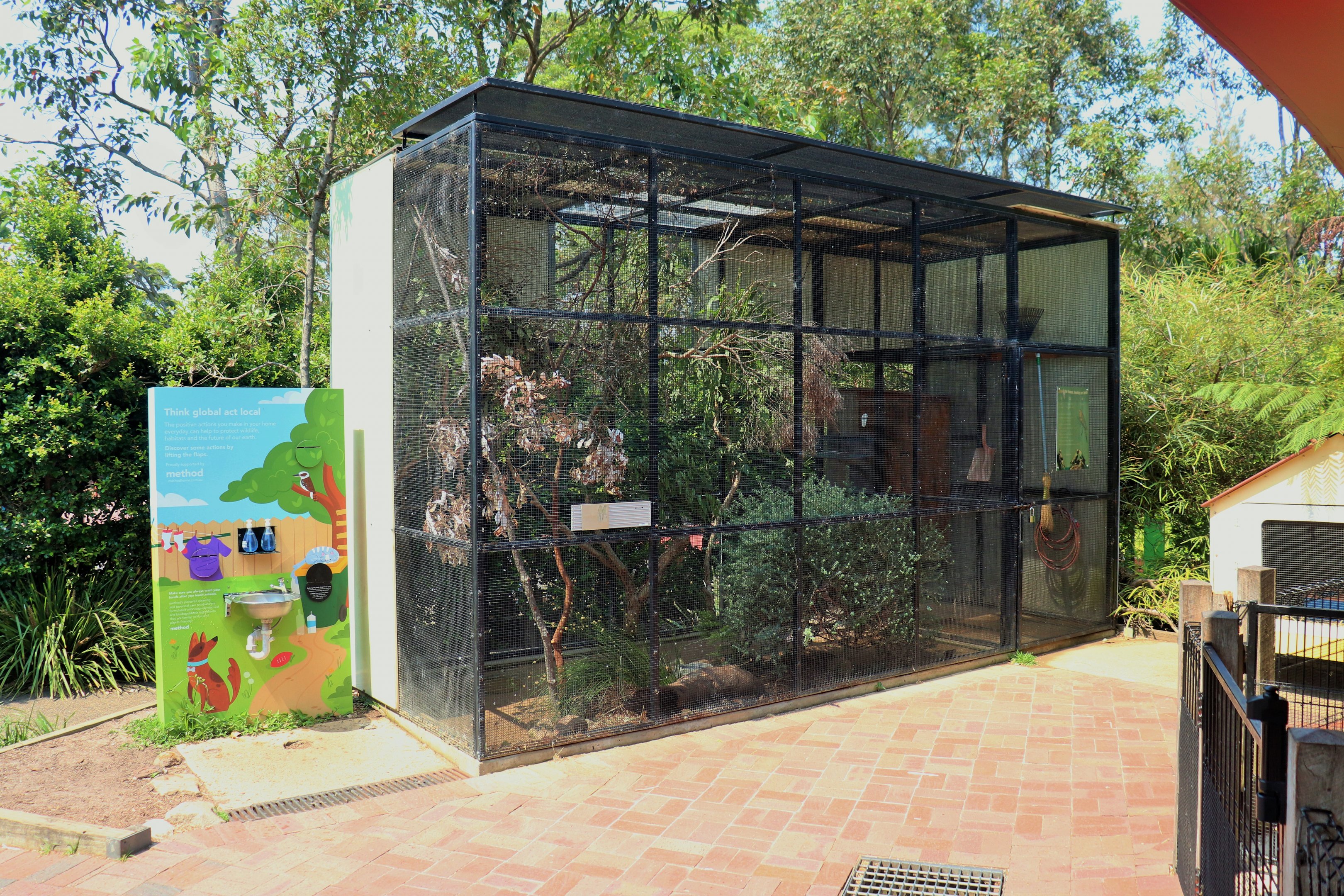 Backyard to Bush- Aviary