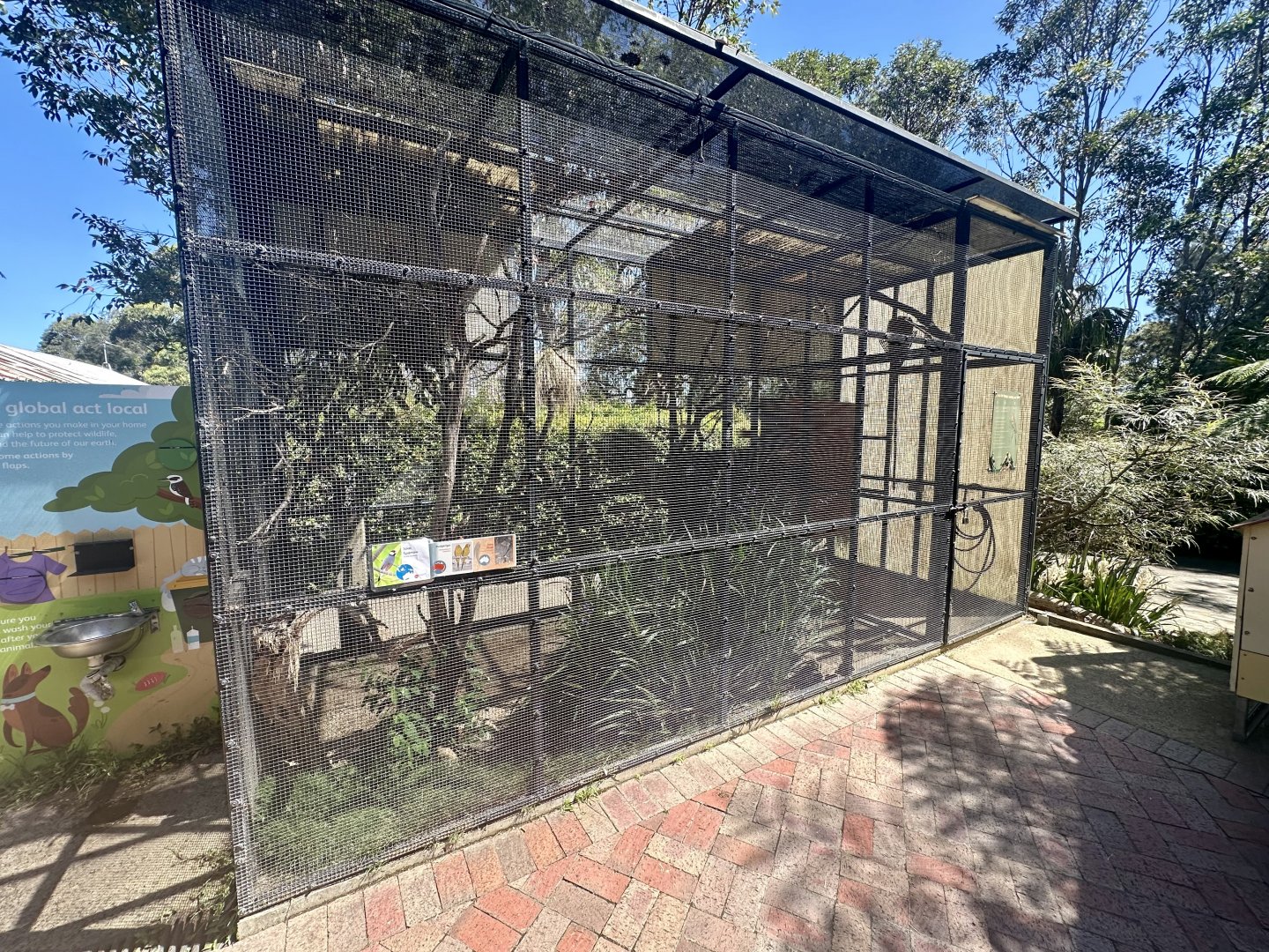 Backyard to Bush Aviary