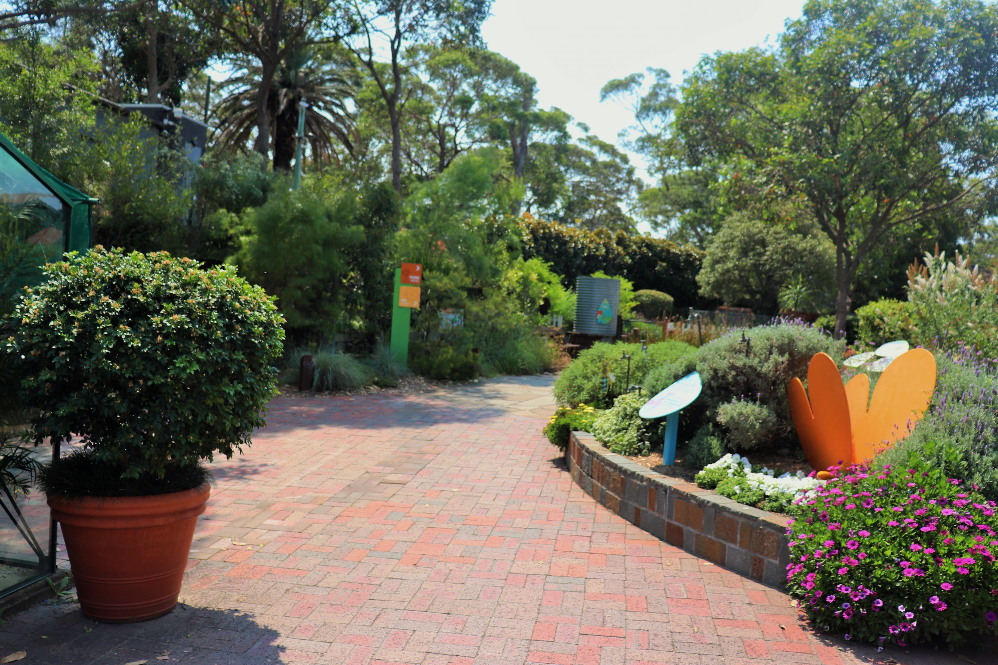 Backyard to Bush- Garden Area