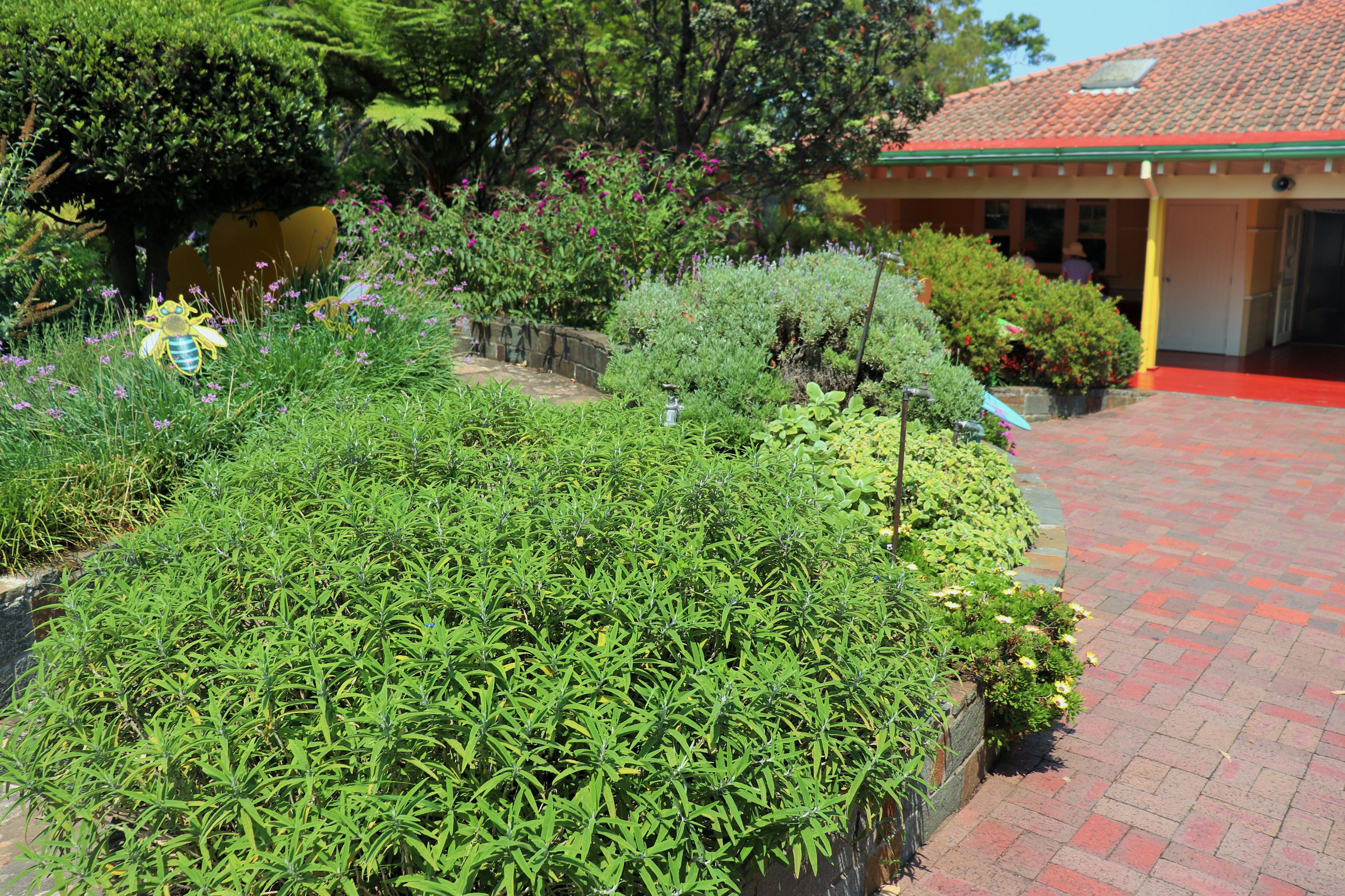 Backyard to Bush- Garden Area
