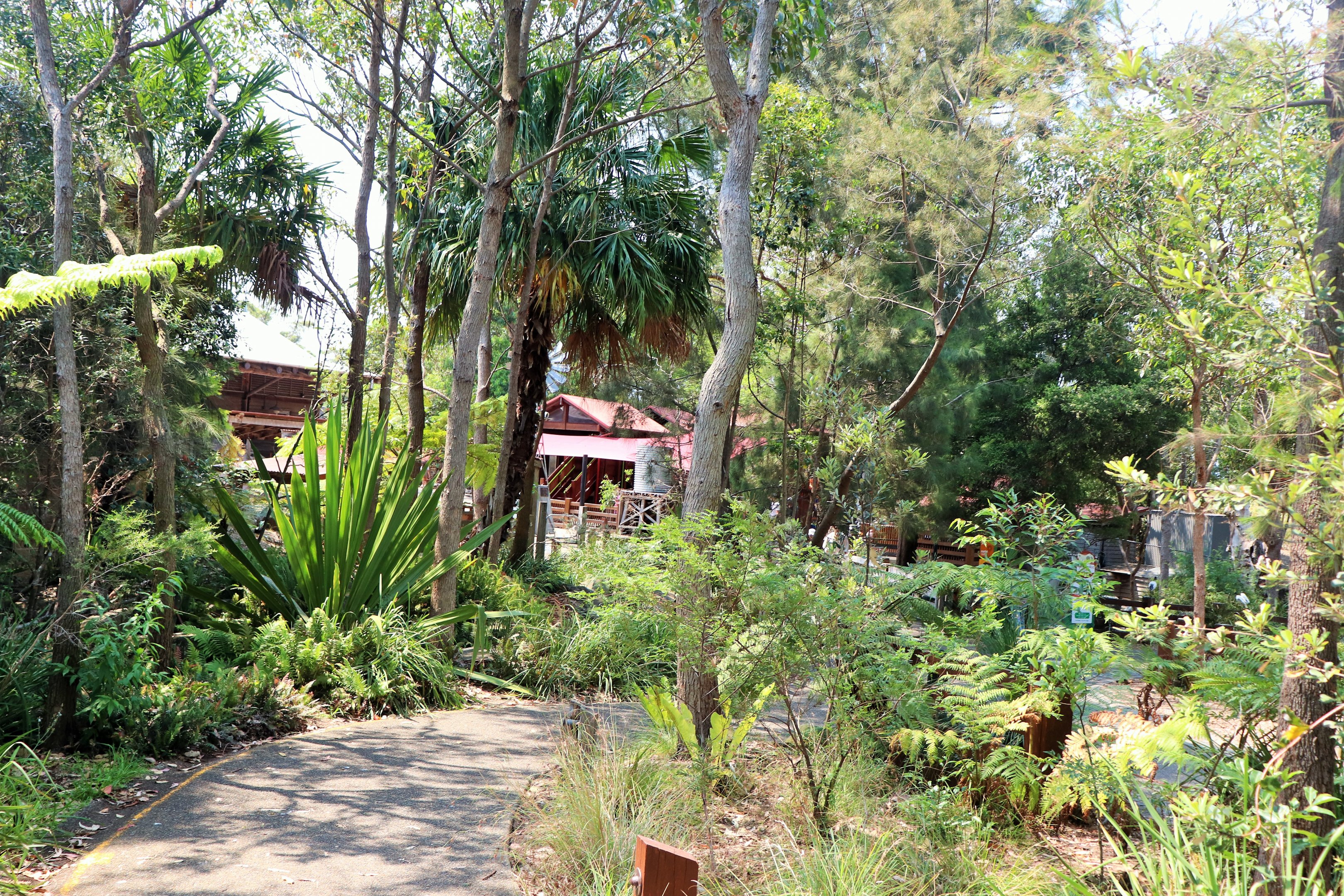 Backyard to Bush- Pathway to Farm Area